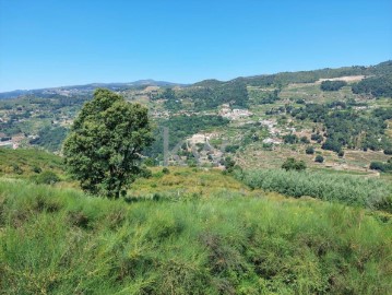 Terreno em Loivos da Ribeira e Tresouras