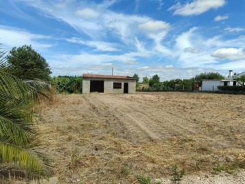 House 1 Bedroom in Salvaterra de Magos e Foros de Salvaterra