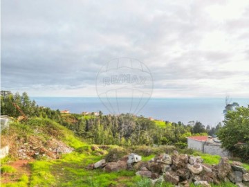 Terreno em Estreito da Calheta