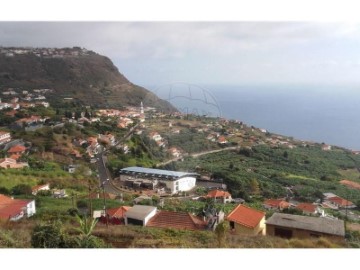 Terreno em Arco da Calheta