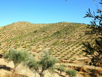 Maisons de campagne à Escalhão