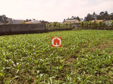 Terre à Bagunte, Ferreiró, Outeiro Maior e Parada