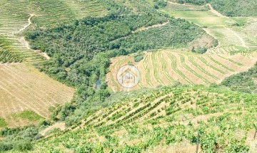 Terreno em Ervedosa do Douro