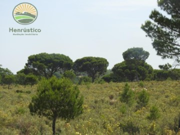 Terrenos en Grândola e Santa Margarida da Serra