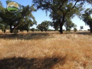 Terrenos en Grândola e Santa Margarida da Serra