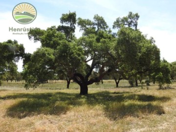 Terrenos en Grândola e Santa Margarida da Serra