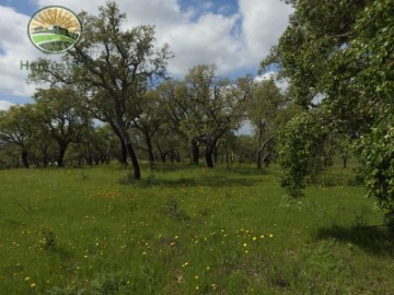 Terrenos en Grândola e Santa Margarida da Serra