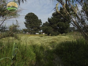 Terrenos en Grândola e Santa Margarida da Serra