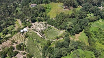 Country homes in Mancelos