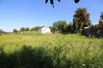 Terre à Areias, Sequeiró, Lama e Palmeira