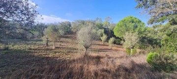 Terrenos en Grândola e Santa Margarida da Serra