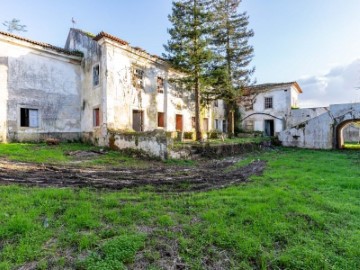 Quintas e casas rústicas em Tentúgal