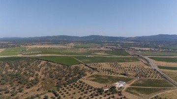 Quintas e casas rústicas em Redondo