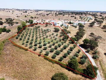 Quintas e casas rústicas 2 Quartos em Monforte