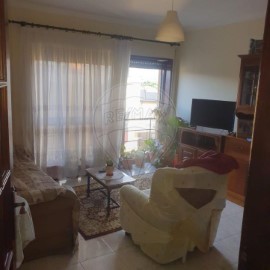 Apartment 1 Bedroom in Ferreiros e Gondizalves