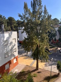 Apartamento 3 Quartos em Azeitão (São Lourenço e São Simão)