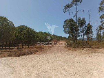 Quintas e casas rústicas 3 Quartos em Silves