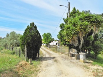 Moradia 2 Quartos em Abitureiras