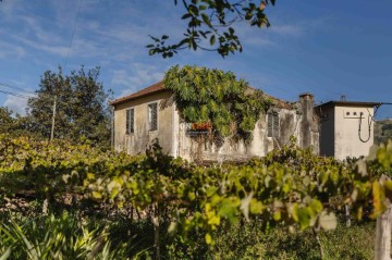 Maison 3 Chambres à São Jorge