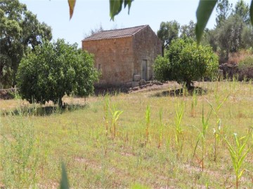 Maisons de campagne à Penamacor