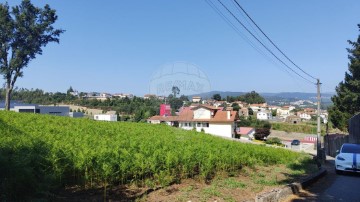 Terreno em Vila Chã, Codal e Vila Cova de Perrinho