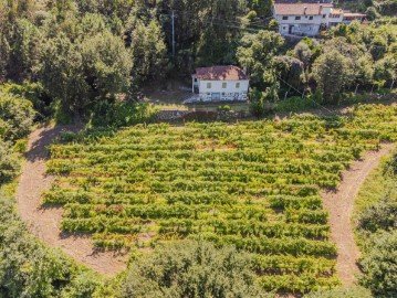 Maisons de campagne à Vilela, Seramil e Paredes Secas