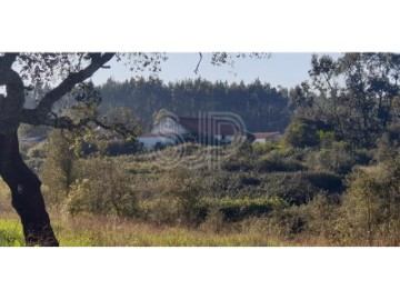 Quintas e casas rústicas em São Teotónio