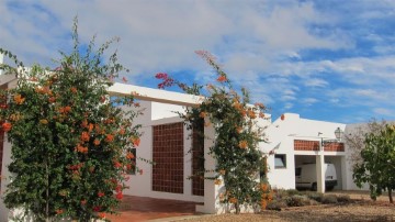 Appartement 1 Chambre à Silves