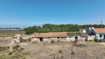 Quintas e casas rústicas em São Teotónio