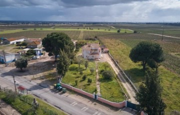 Maisons de campagne 4 Chambres à Palmela