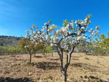 Quintas e casas rústicas em Escalhão