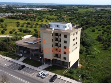 Apartamento 3 Quartos em Torres Novas (São Pedro), Lapas e Ribeira Branca