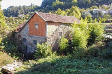 House  in Carvalho e Basto (Santa Tecla)