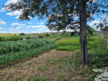 Country homes 1 Bedroom in Redondo