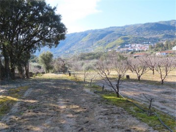 Quintas e casas rústicas em Vale de Prazeres e Mata da Rainha