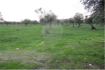 Quintas e casas rústicas 1 Quarto em Castelo Branco