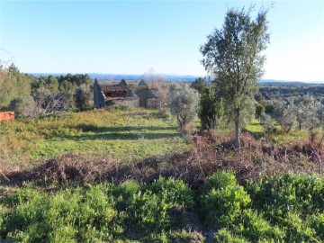 Quintas e casas rústicas em Castelo Branco