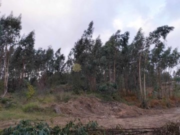 Terre à Navió e Vitorino dos Piães