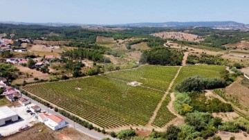 Terreno em Abrigada e Cabanas de Torres