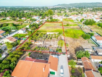 Quintas e casas rústicas em Azeitão (São Lourenço e São Simão)