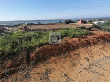 Quintas e casas rústicas em Moncarapacho e Fuseta