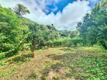 Quintas e casas rústicas em Fajã Grande