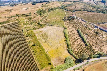 Terreno em Sapataria