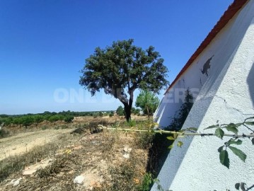 Quintas e casas rústicas 5 Quartos em Santana do Mato