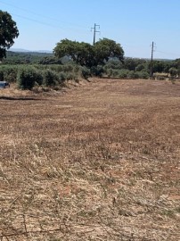 Quintas e casas rústicas em Nossa Senhora de Machede