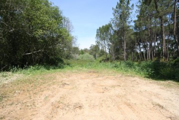 Terreno em Condeixa-a-Velha e Condeixa-a-Nova