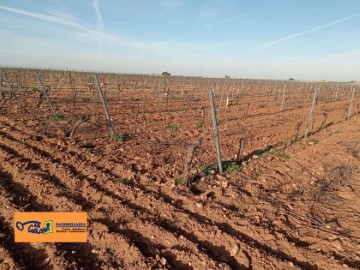 Maisons de campagne  à Malagón