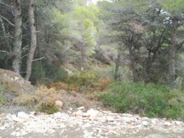 Terrenos en Monte Vernisa
