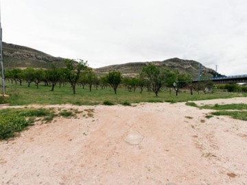 Terrenos en Alhama de Aragón
