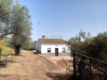 Casa o chalet 3 Habitaciones en Fuentes de León